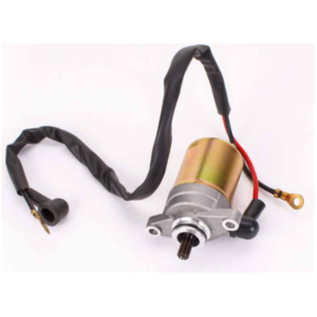 Anlasserritzel Für China Roller - Passend Für Adly, Keeway, Lifan, Jonway & Viele Mehr